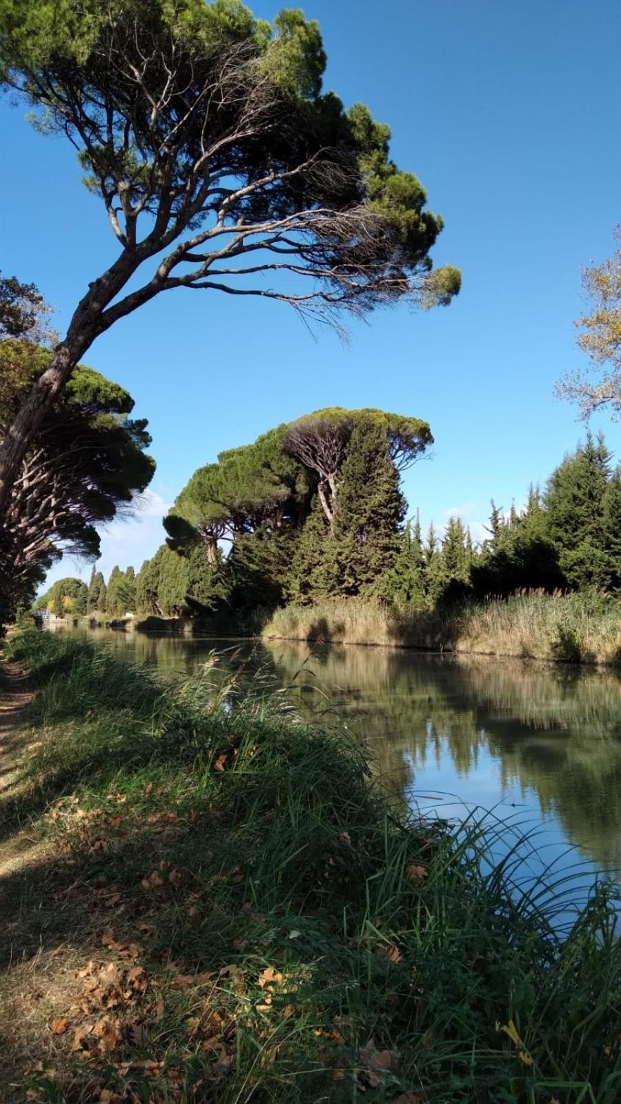 La Promesse De L Aude Salleles-d'Aude Exterior foto